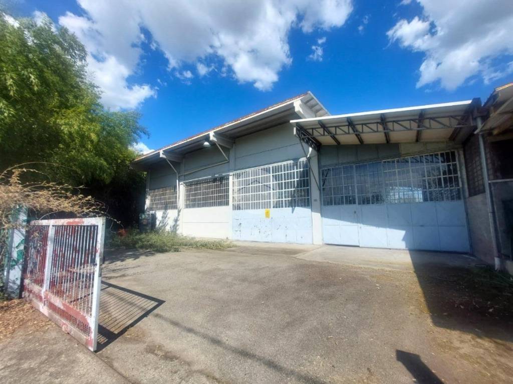 immagine annuncio 10 di 12