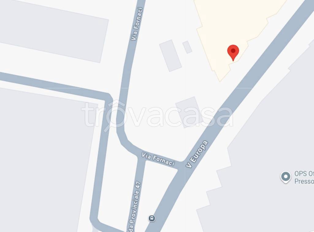 immagine annuncio 9 di 14