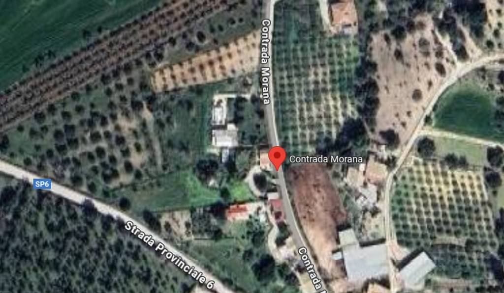 immagine annuncio 3 di 10