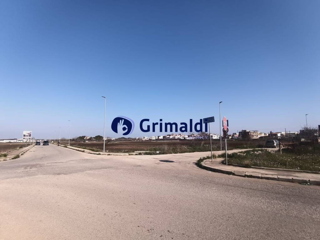 immagine annuncio 3 di 8