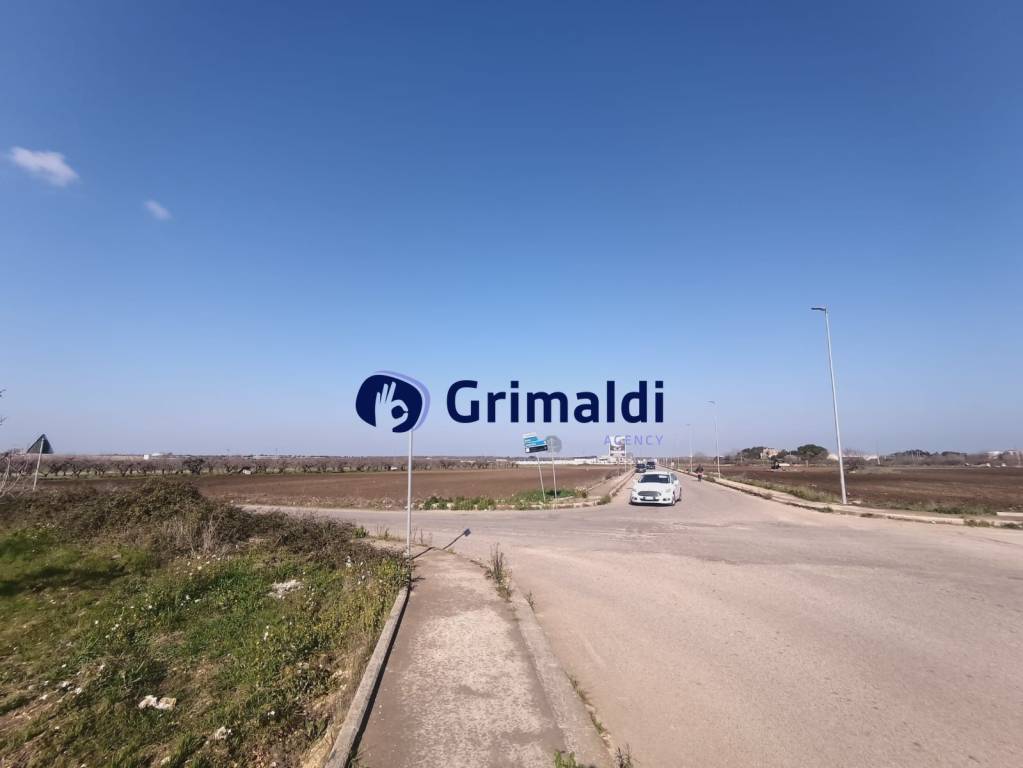 immagine annuncio 4 di 8