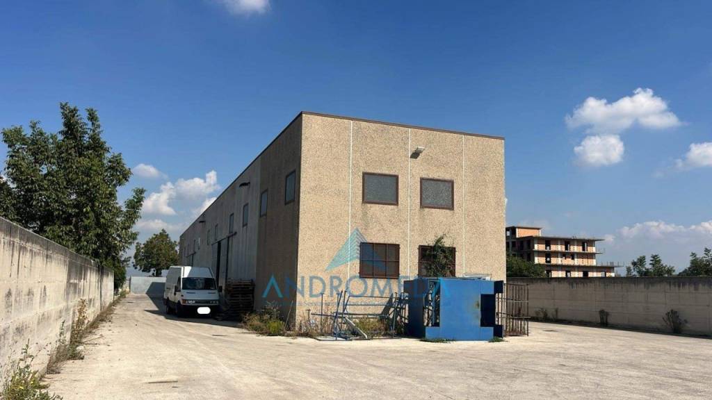 immagine annuncio 1 di 8