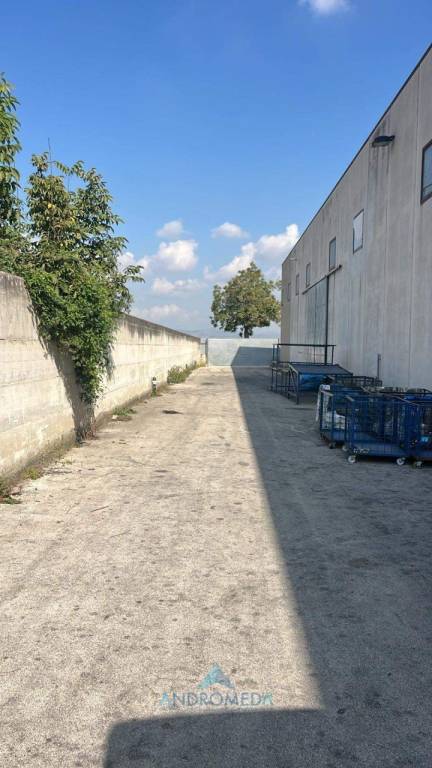 immagine annuncio 3 di 8