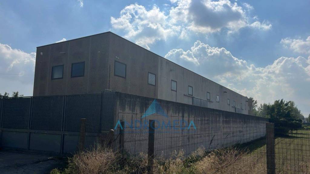 immagine annuncio 4 di 8