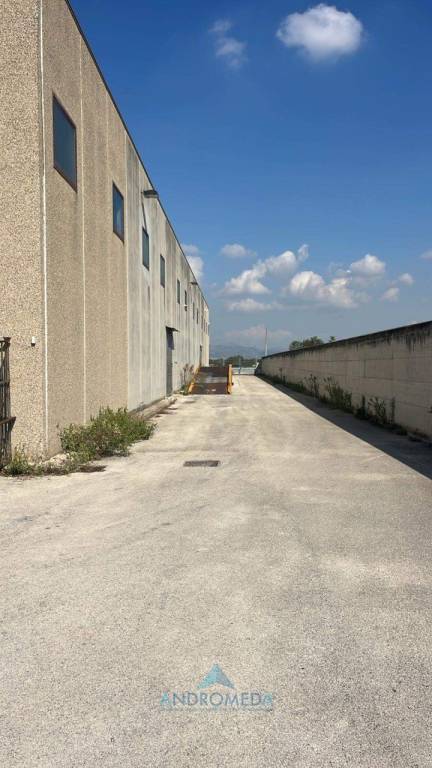 immagine annuncio 6 di 8