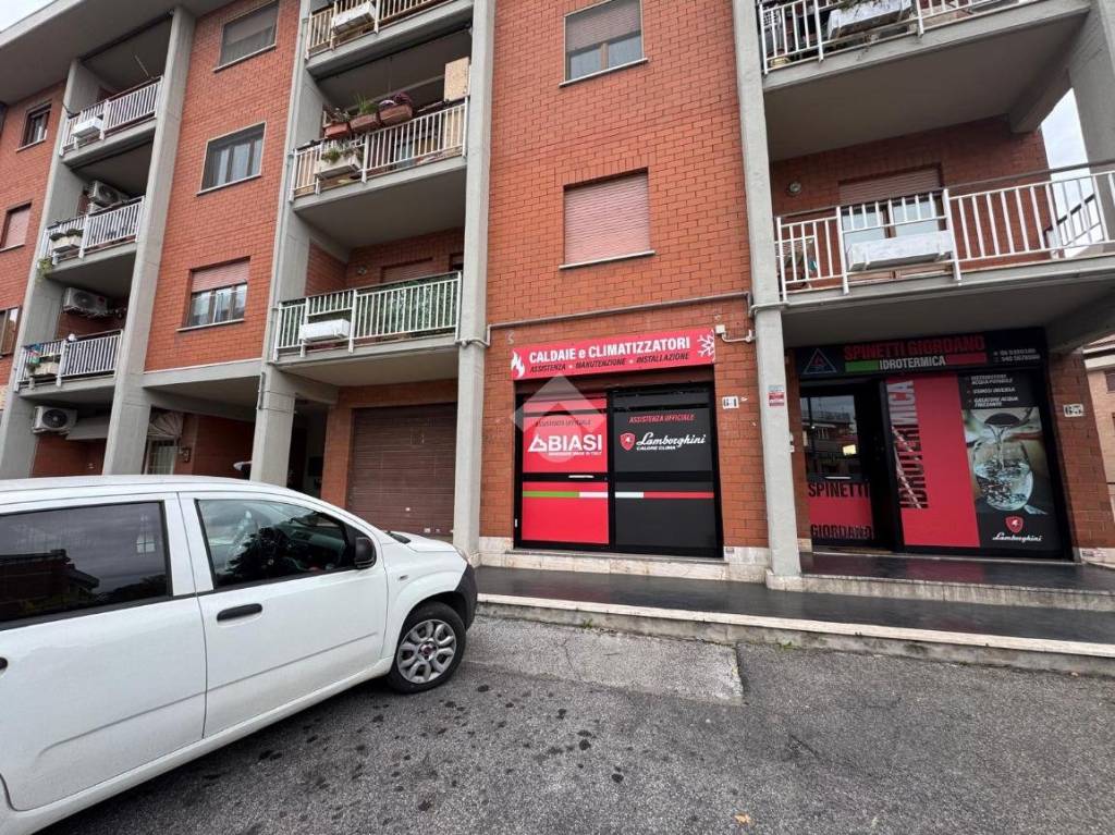 immagine annuncio 2 di 15