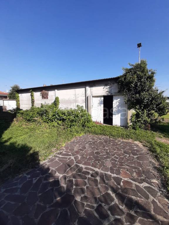 immagine annuncio 7 di 15