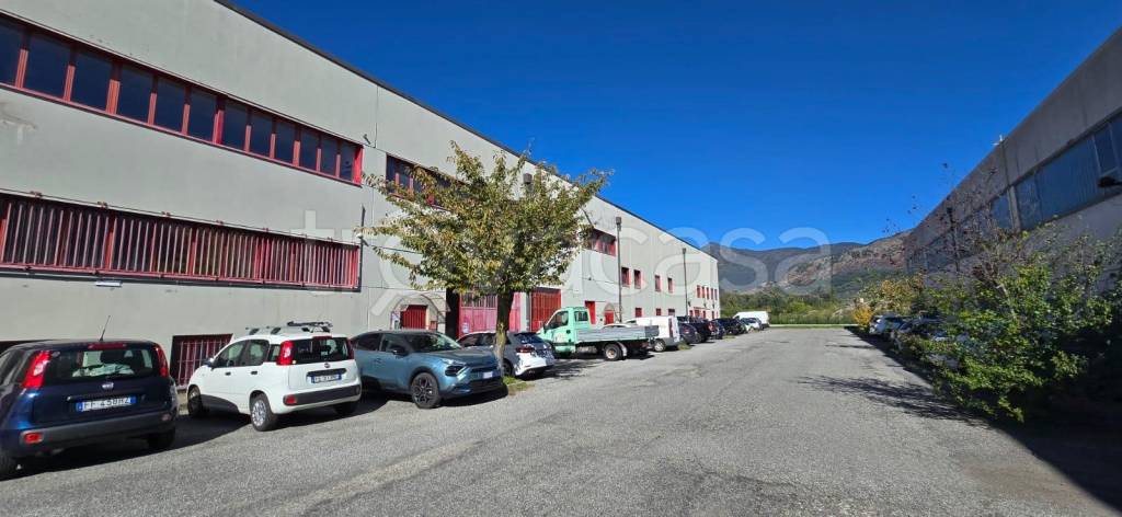 immagine annuncio 2 di 12