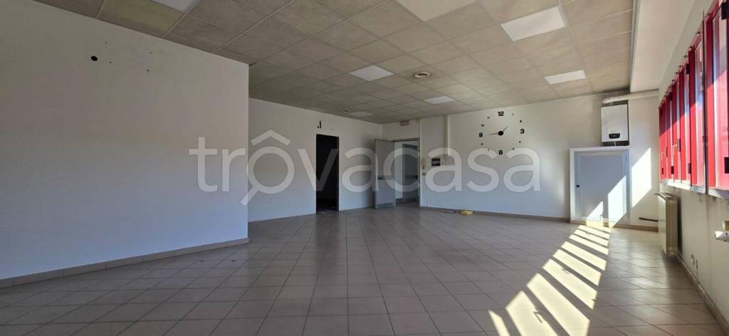 immagine annuncio 6 di 12