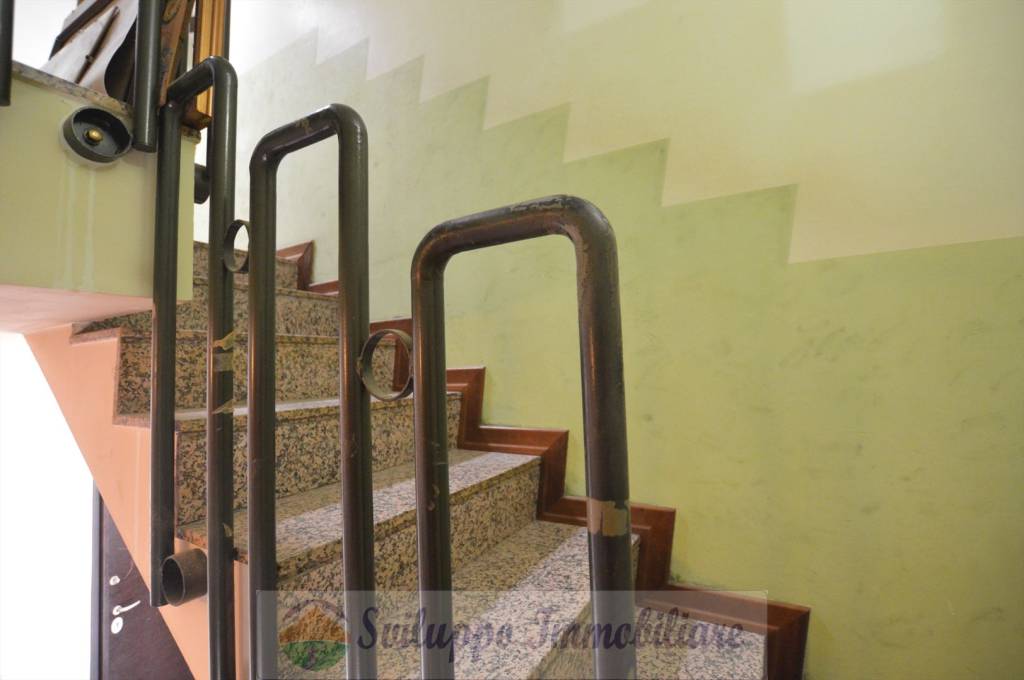 immagine annuncio 5 di 12