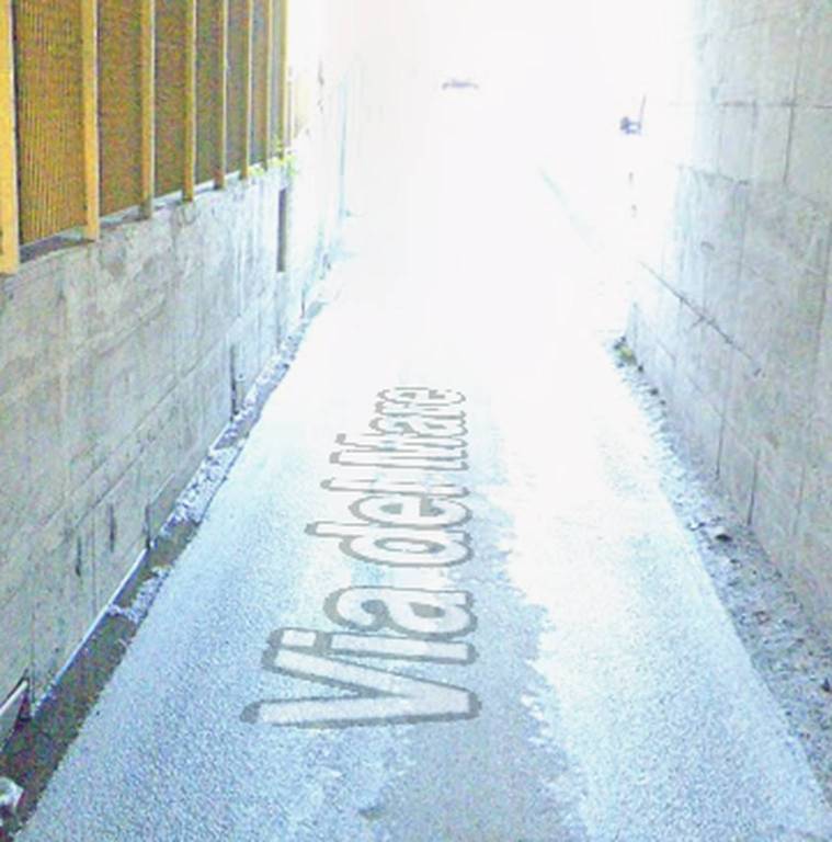 immagine annuncio 5 di 11