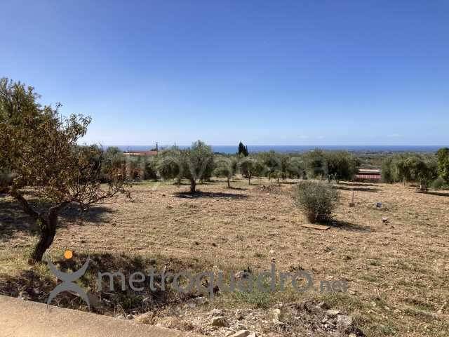 immagine annuncio 3 di 9