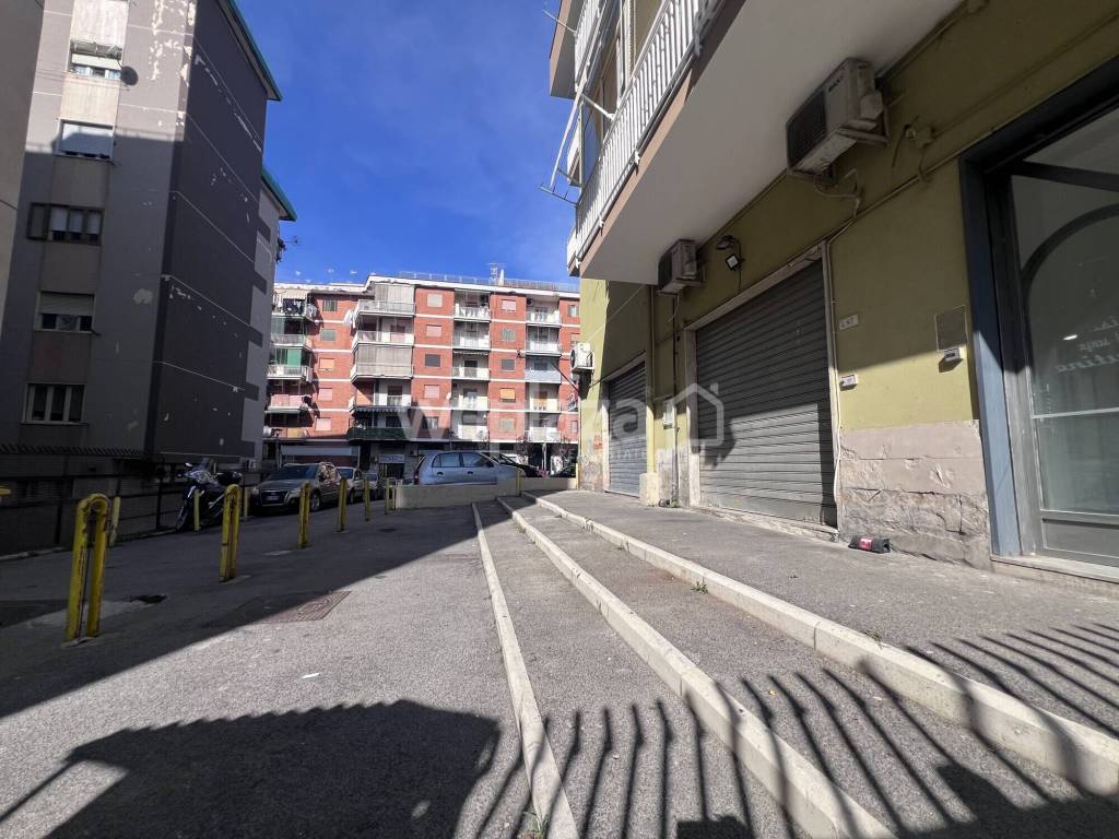 immagine annuncio 3 di 12