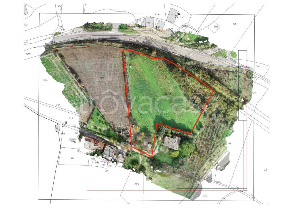 immagine annuncio 1 di 12