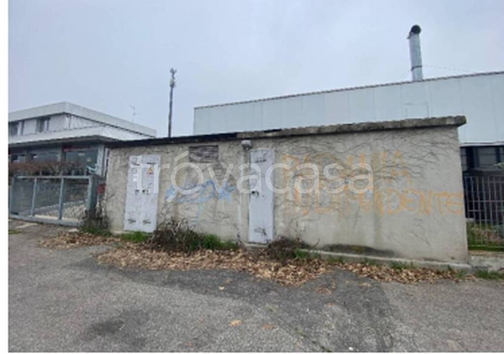 immagine annuncio 3 di 11