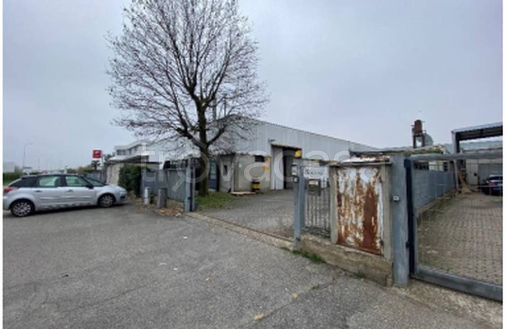 immagine annuncio 4 di 11