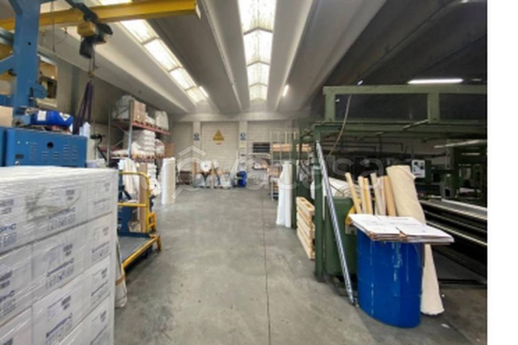 immagine annuncio 9 di 11