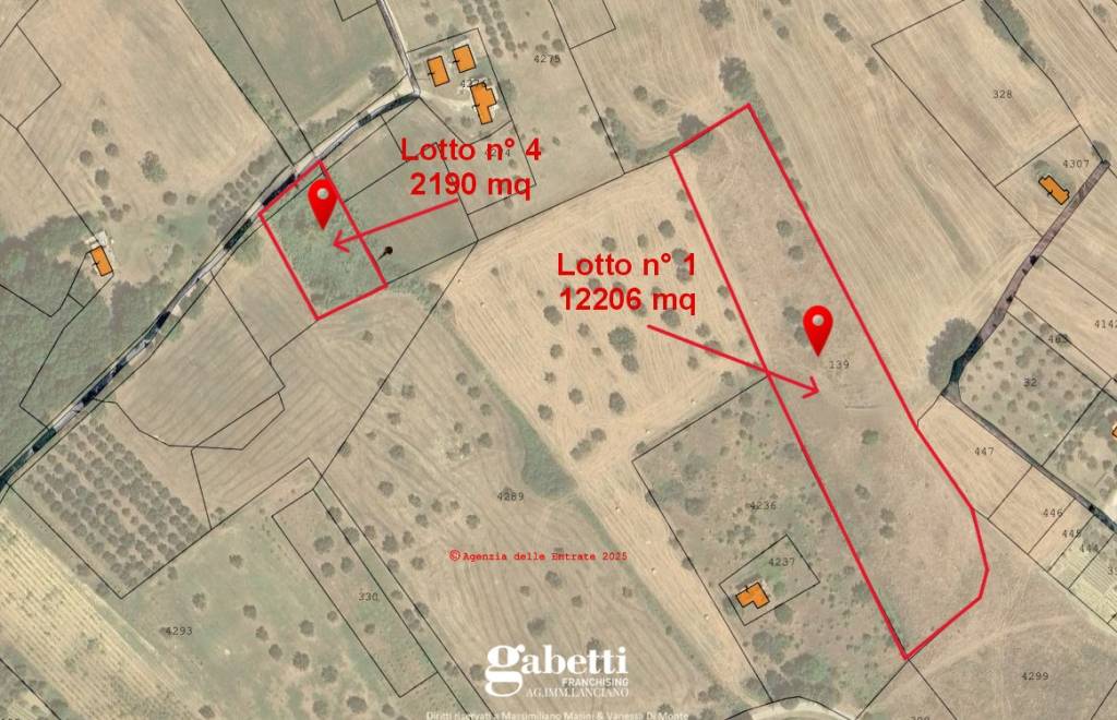 immagine annuncio 3 di 4