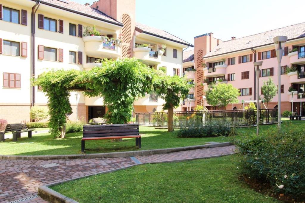 immagine annuncio 3 di 15