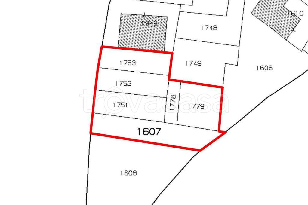 immagine annuncio 3 di 7