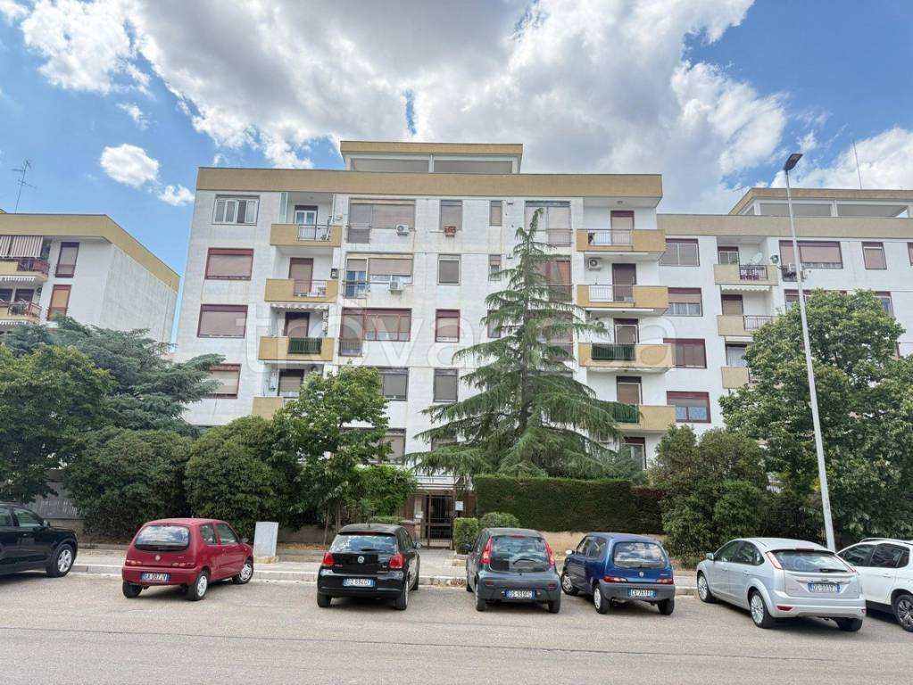 immagine annuncio 6 di 7