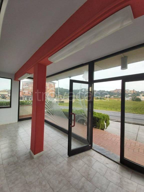 immagine annuncio 2 di 6