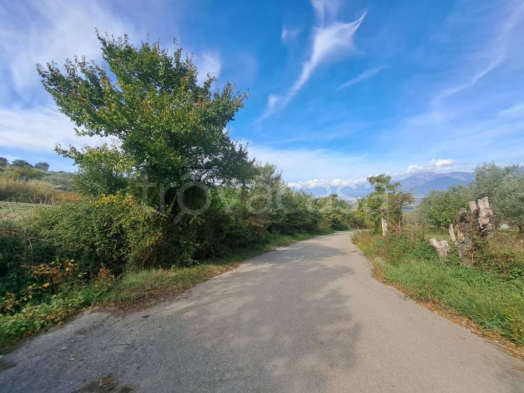 immagine annuncio 8 di 10