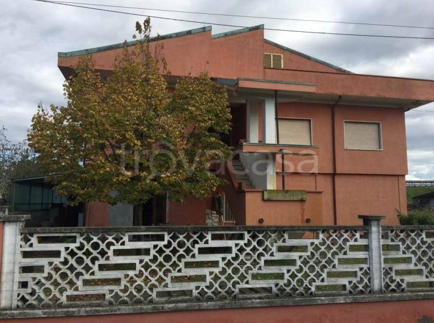 immagine annuncio 2 di 4