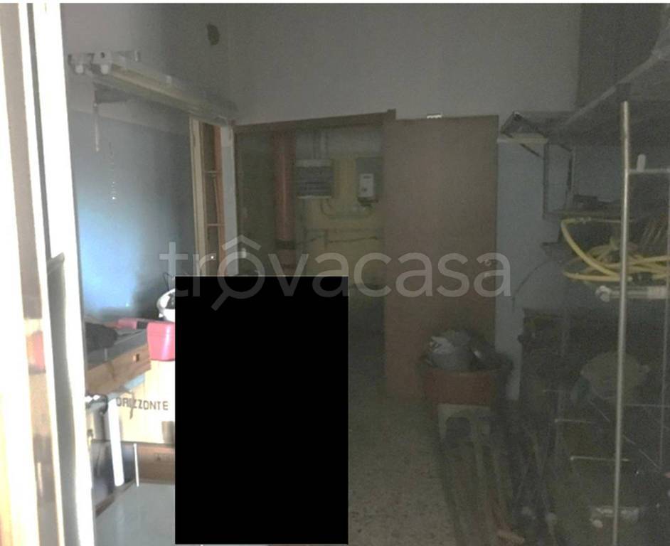 immagine annuncio 11 di 14