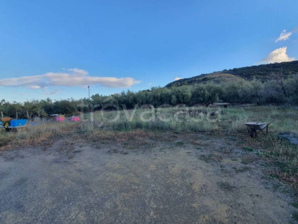 immagine annuncio 7 di 11