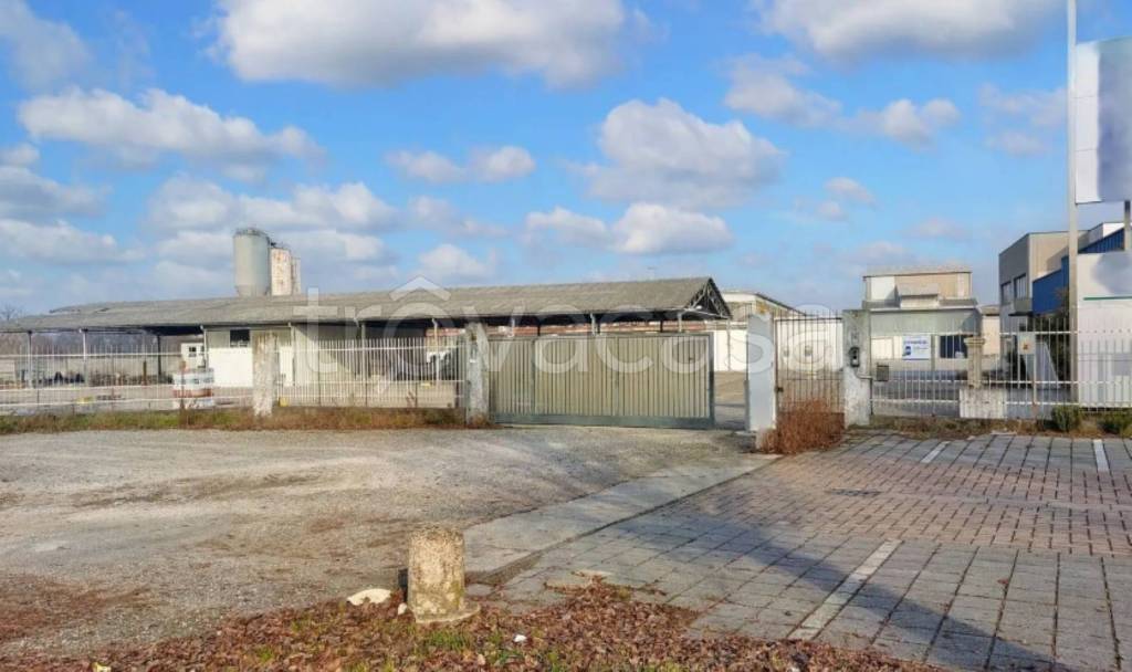 immagine annuncio 10 di 15