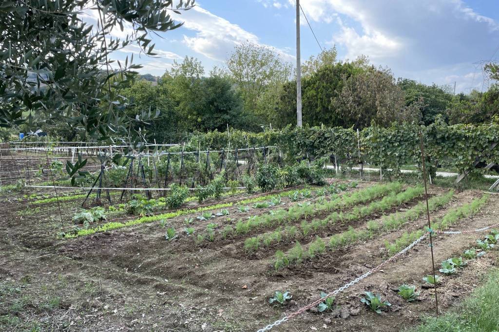 immagine annuncio 9 di 15