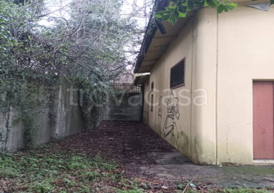 immagine annuncio 6 di 13