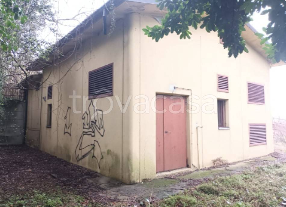 immagine annuncio 9 di 13