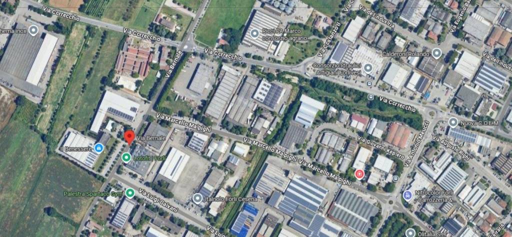 immagine annuncio 3 di 12