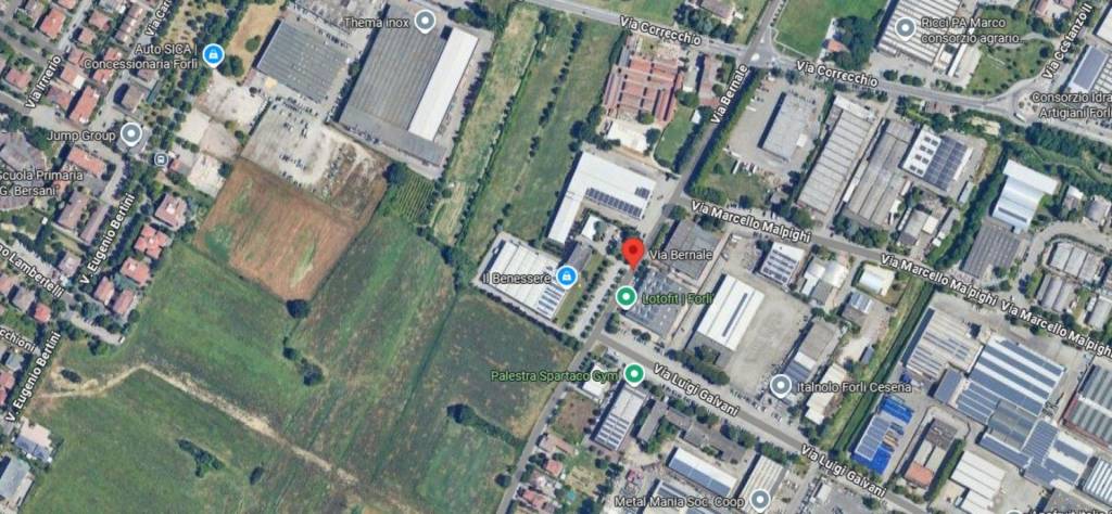 immagine annuncio 8 di 12