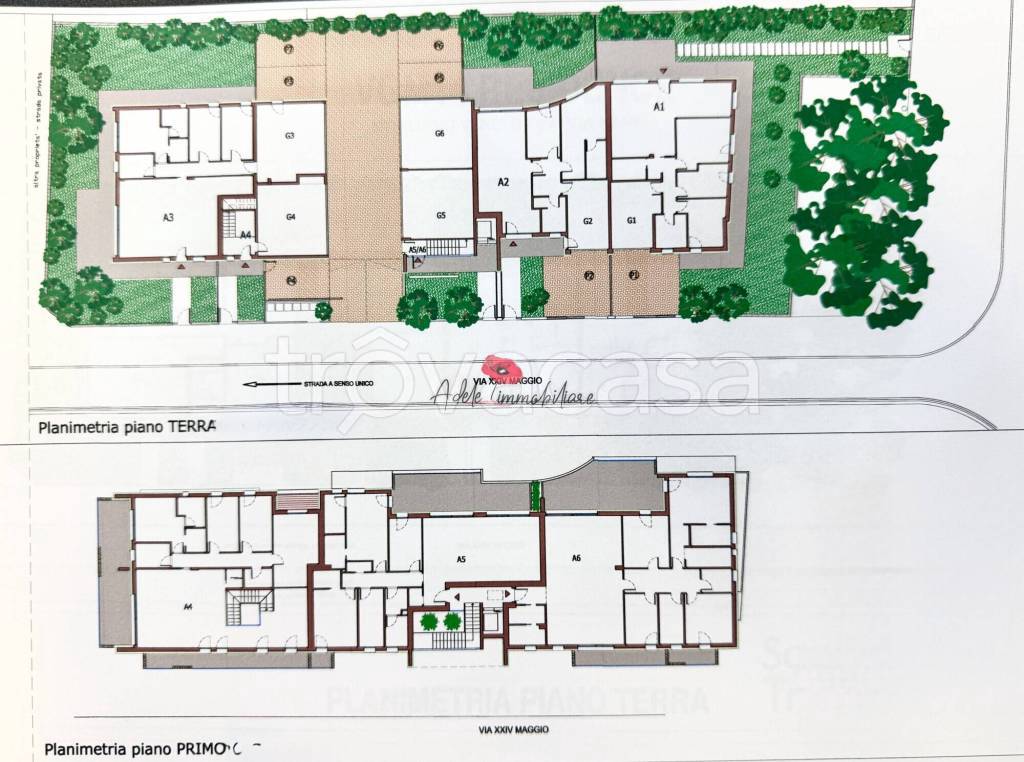 immagine annuncio 10 di 12