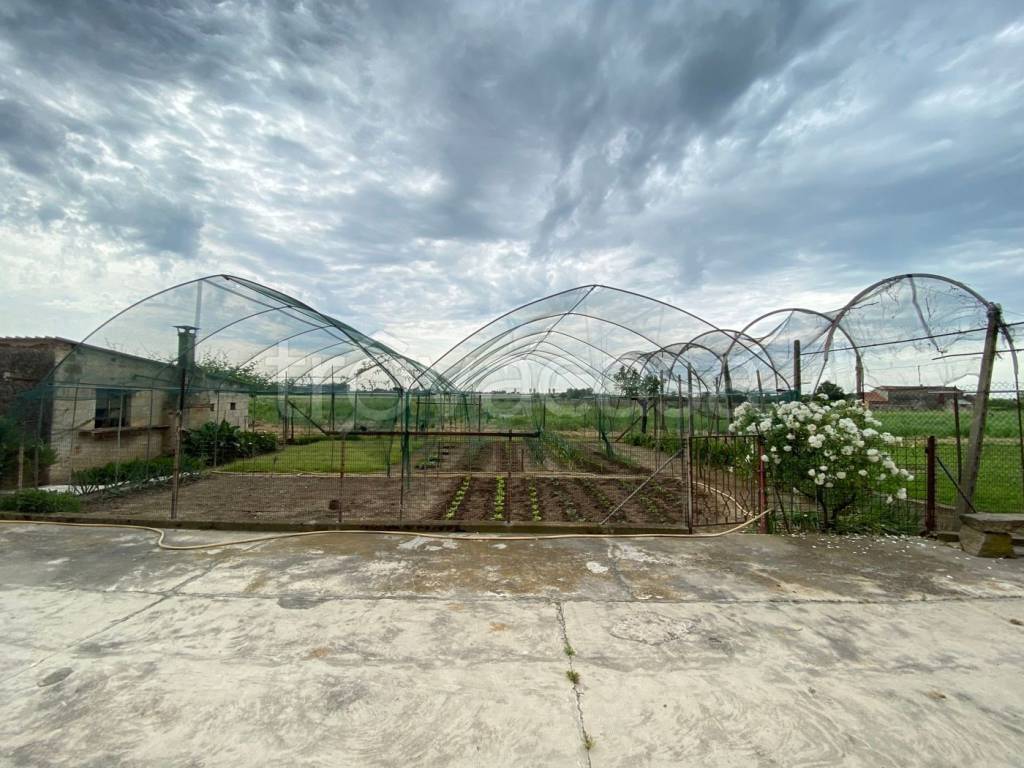 immagine annuncio 4 di 13