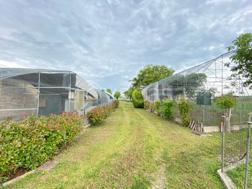 immagine annuncio 5 di 13