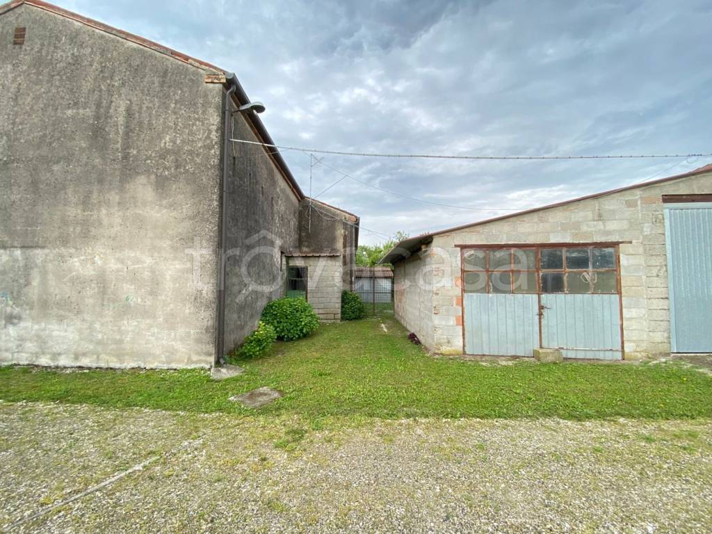 immagine annuncio 7 di 13