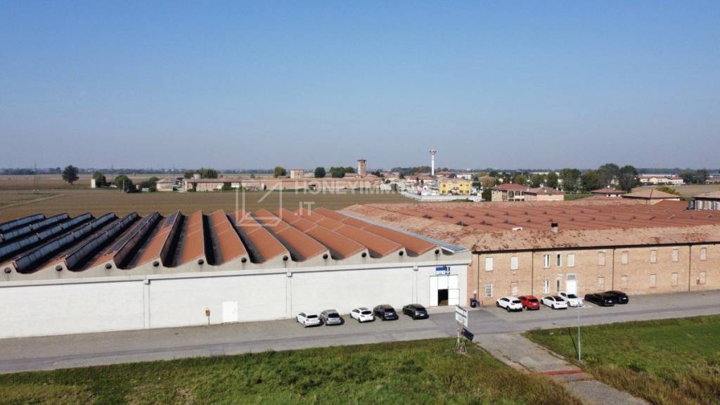 immagine annuncio 3 di 11