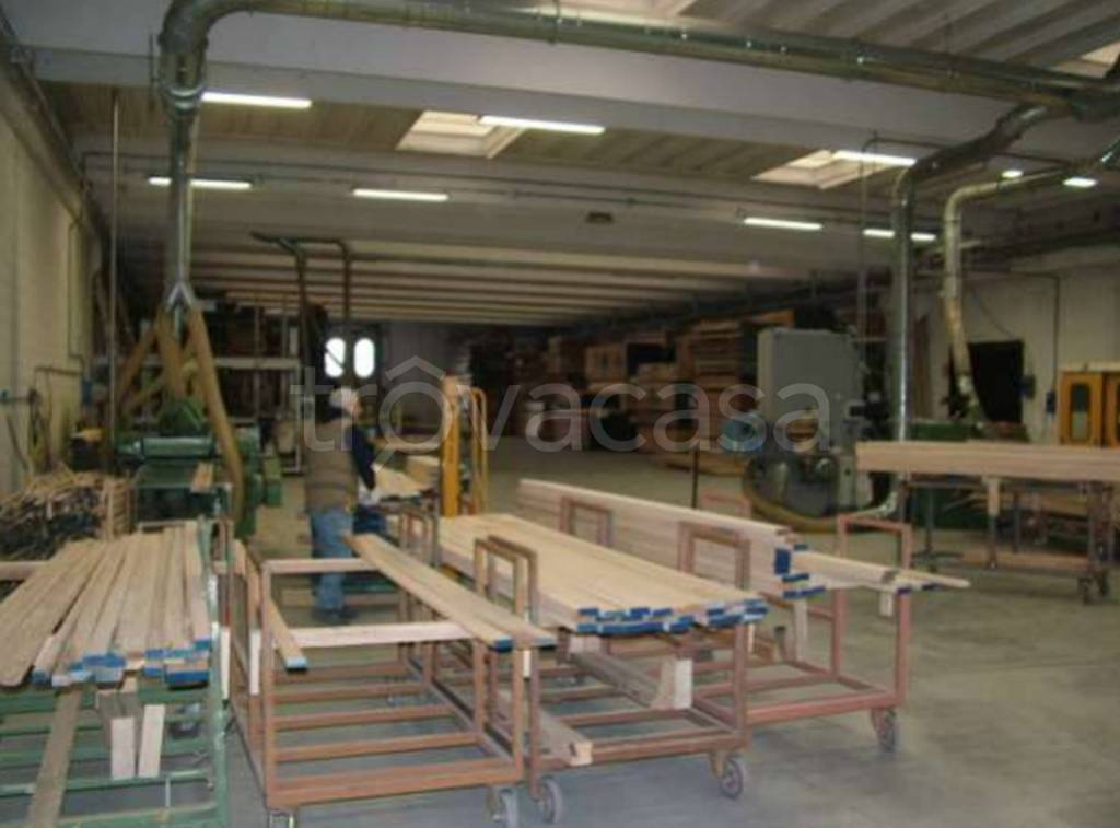 immagine annuncio 9 di 12