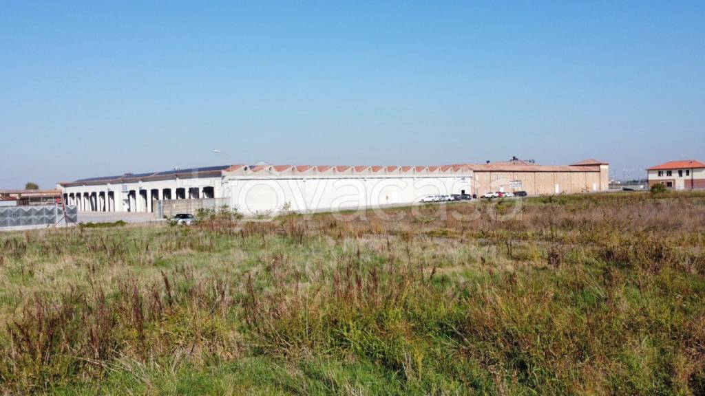 immagine annuncio 7 di 11