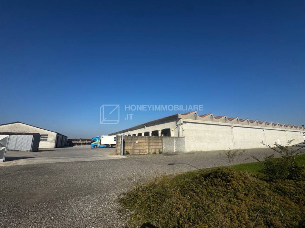 immagine annuncio 8 di 11