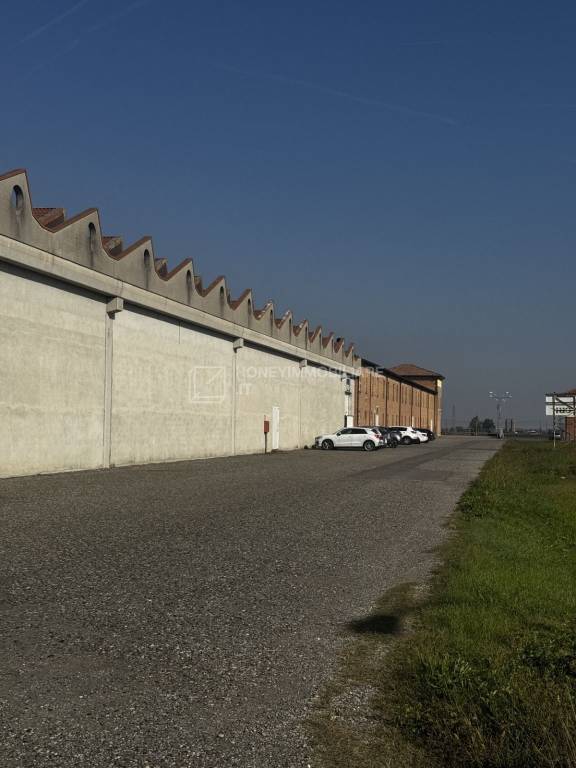 immagine annuncio 9 di 11