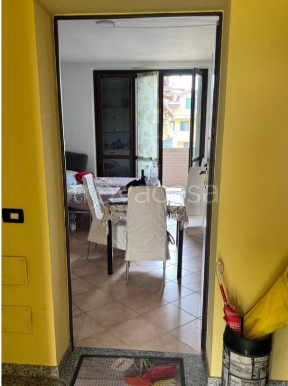 immagine annuncio 3 di 12