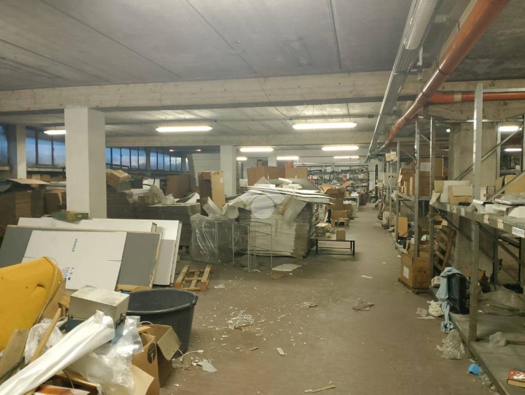 immagine annuncio 10 di 15