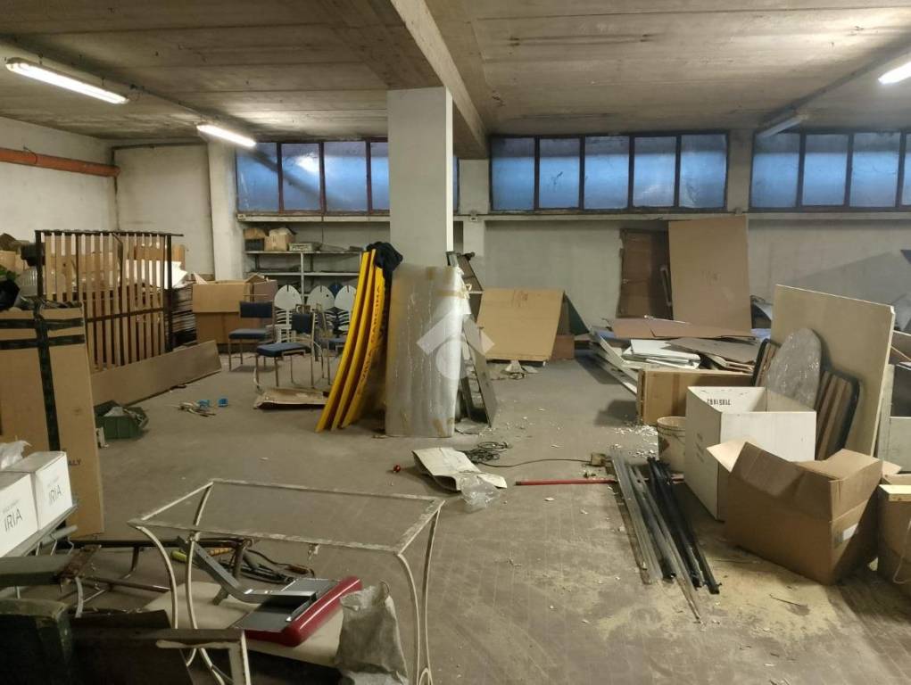 immagine annuncio 11 di 15