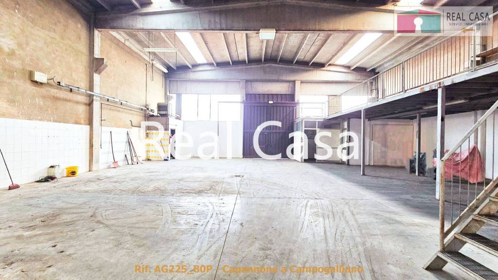 immagine annuncio 2 di 12