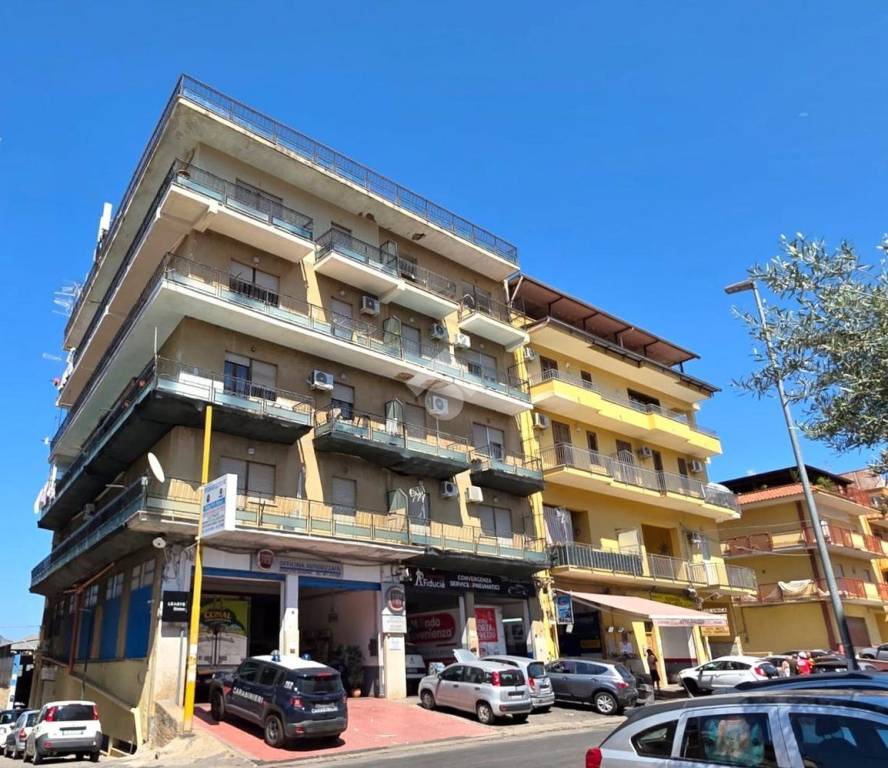 immagine annuncio 6 di 12